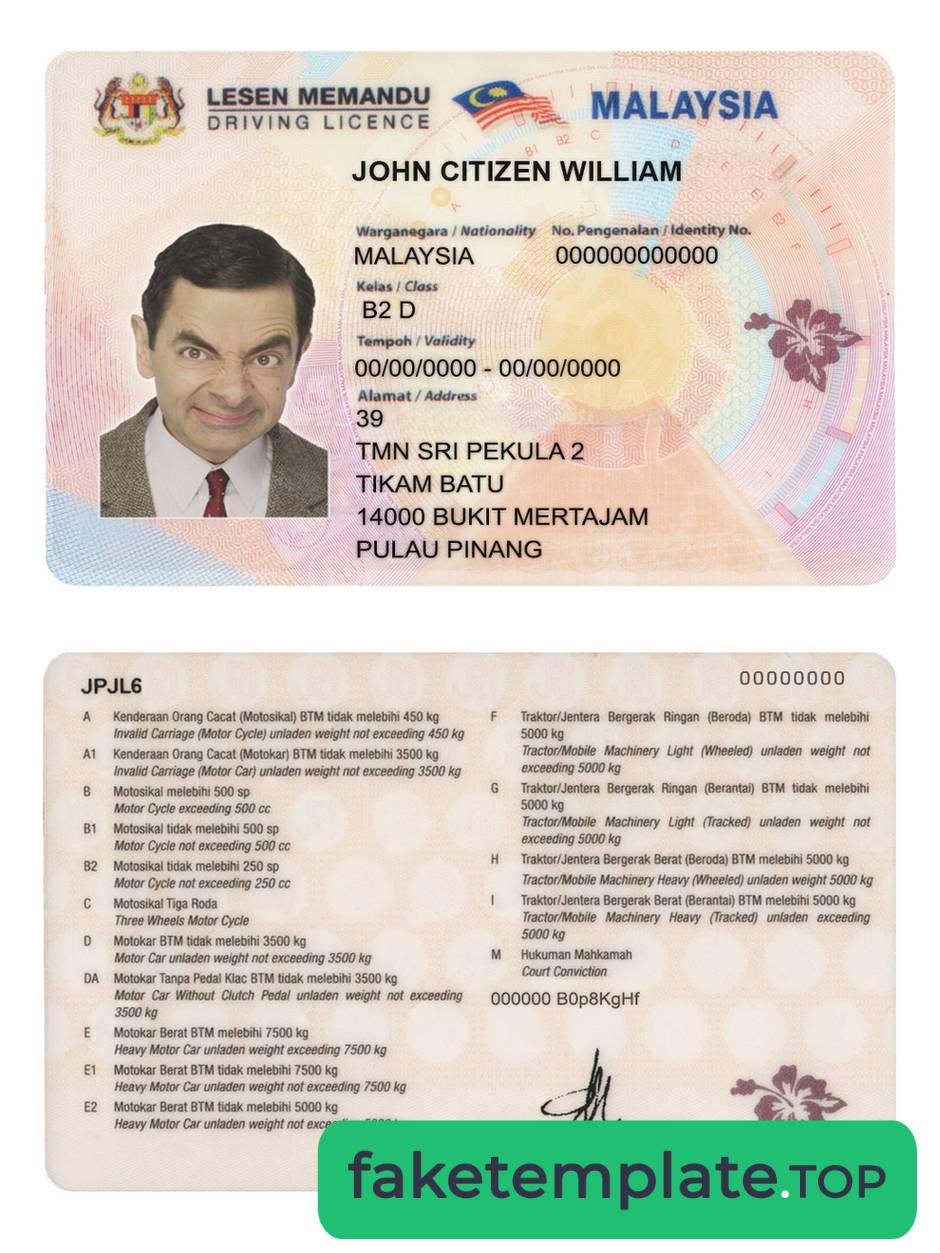 Feature of fake Malaysia driving license example